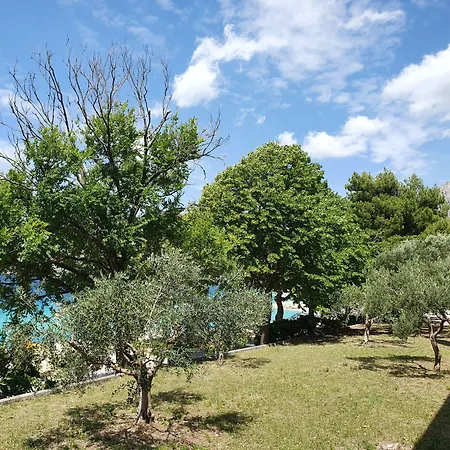 Tourist Settlement Brzet